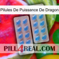 Dragon Power Pills 23